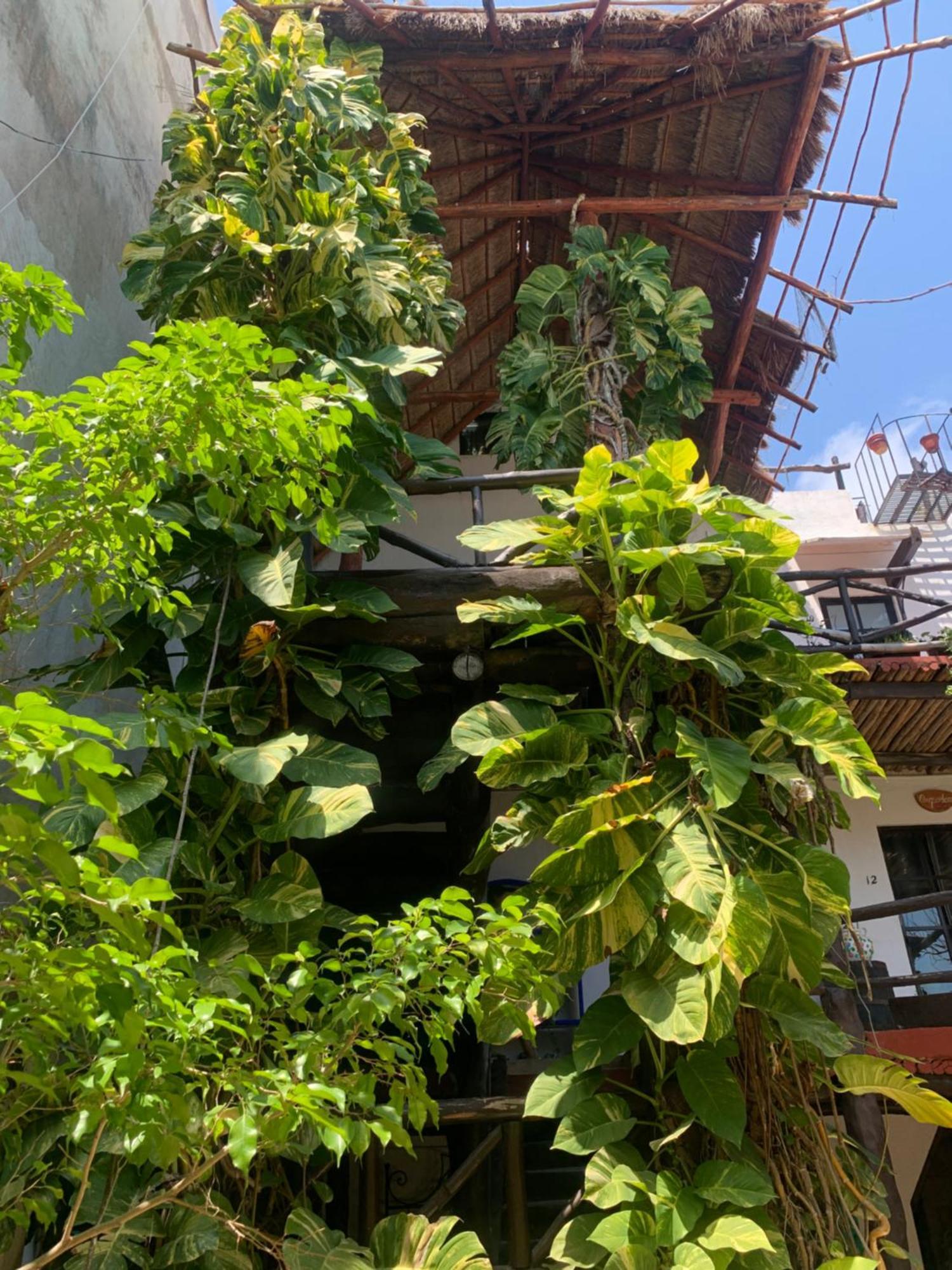 Casa Caribe Aparthotel Cancun