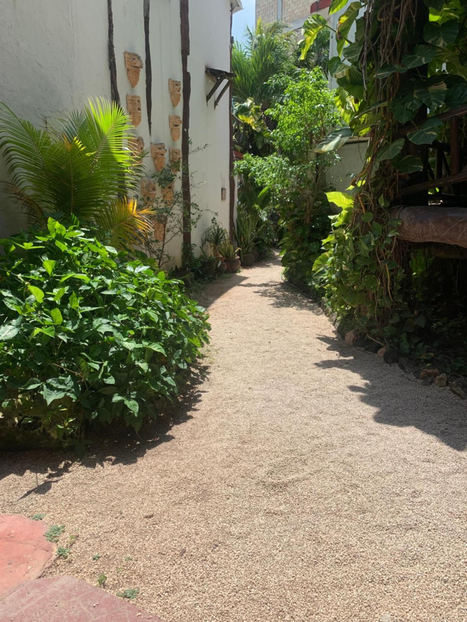 Casa Caribe 3* Cancun